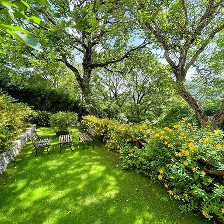 An Oasis Like No Other *