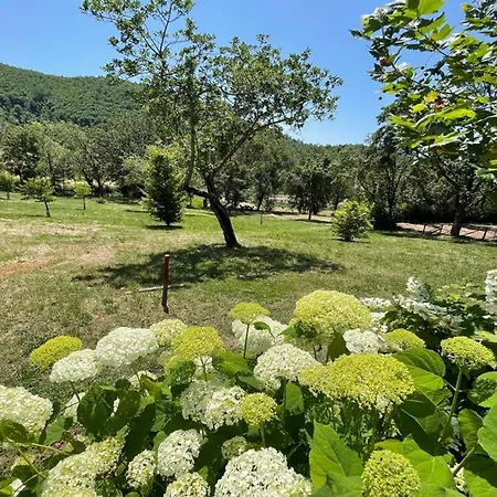An Oasis Like No Other * Acquaiura