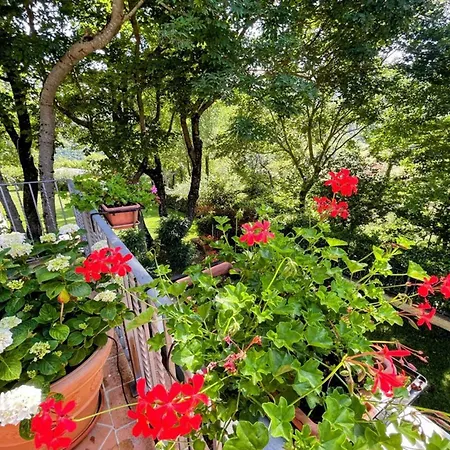 Βίλα An Oasis Like No Other *